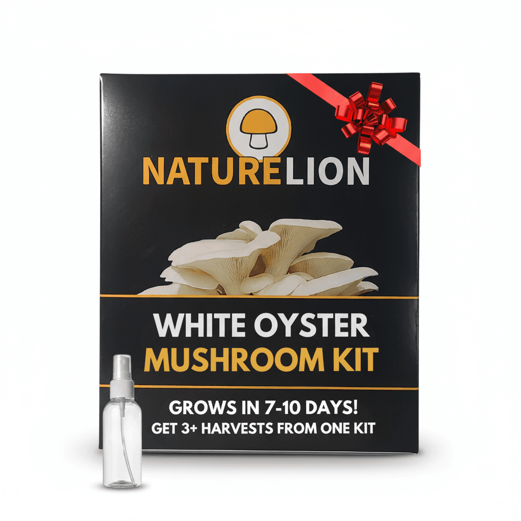 White Oyster product photo