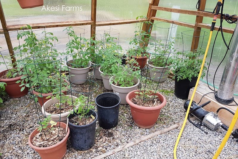 Akesi Farms — additional photo