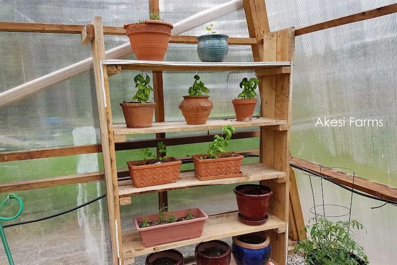 Akesi Farms