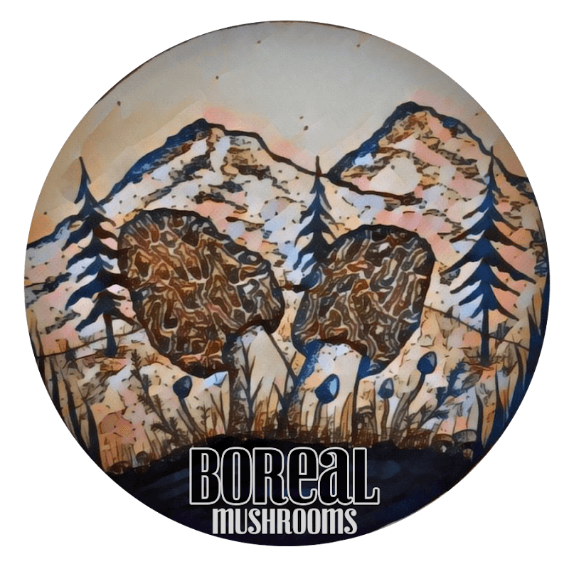 Boreal Mushrooms