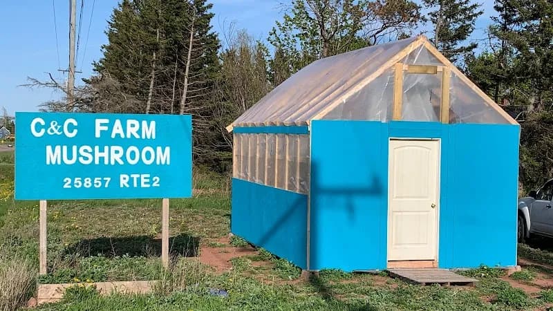 C & C Mushroom Farm