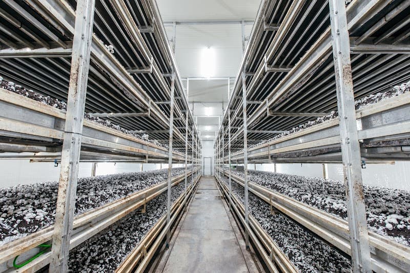 Canadian Mushroom Growers Association / Mushrooms Canada