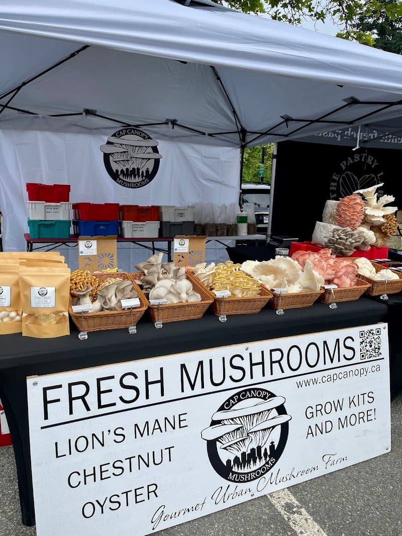 Cap Canopy Mushrooms