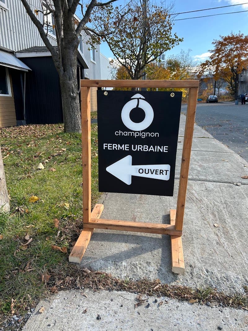 Ô Champignon — additional photo