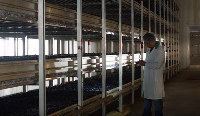 Champs Fresh Farms Inc. — additional photo