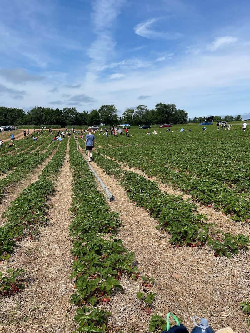 Creation Care Farm — additional photo