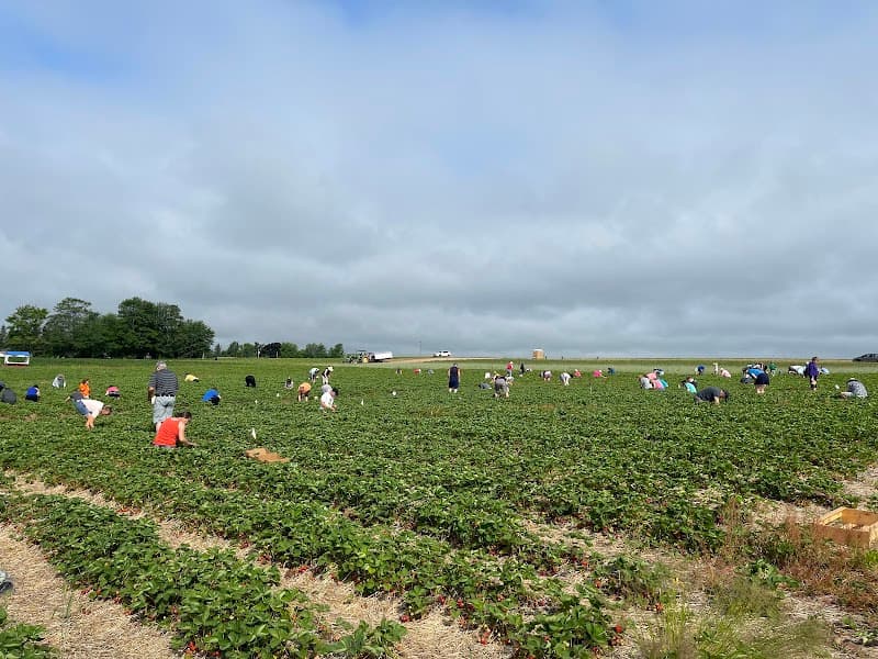 Creation Care Farm — additional photo