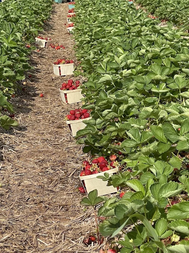Creation Care Farm