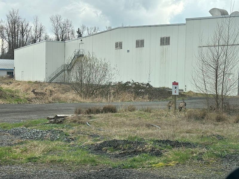 Delfresh Mushroom Farm Ltd