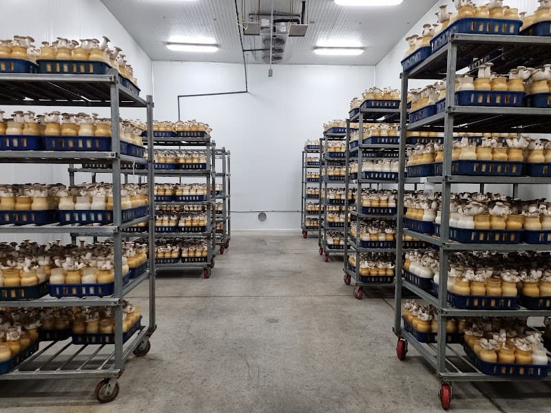 Enviro Mushroom Farm Inc. — additional photo