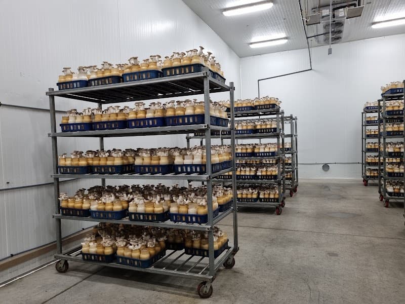 Enviro Mushroom Farm Inc. — additional photo