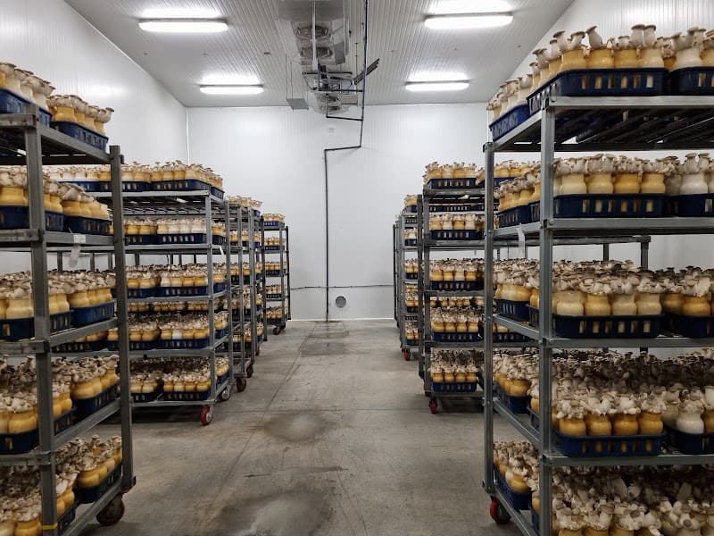 Enviro Mushroom Farm Inc.