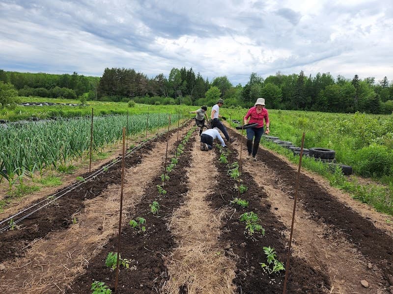 Ferme artisane Hortus & Fungi — additional photo