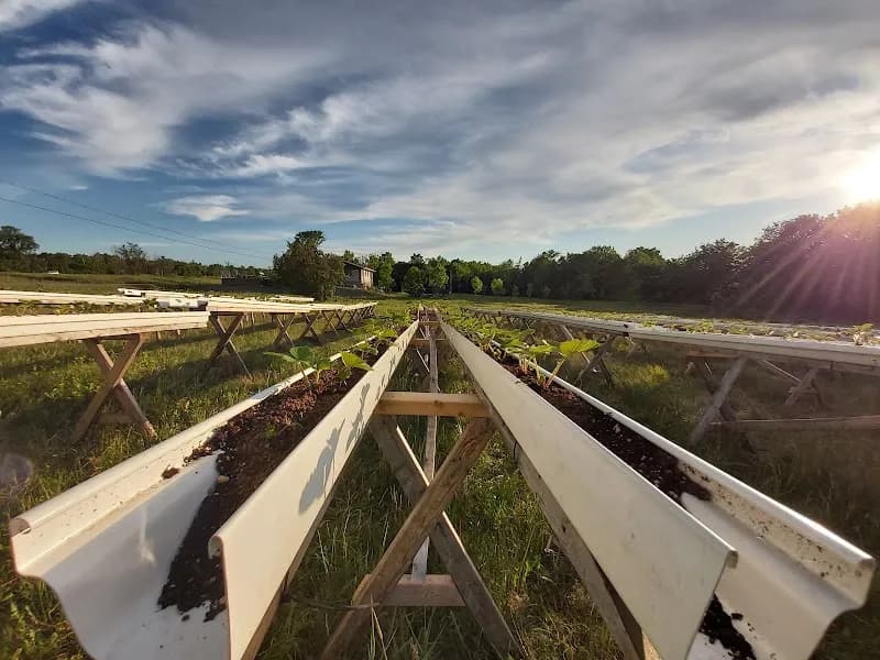 Ferme artisane Hortus & Fungi