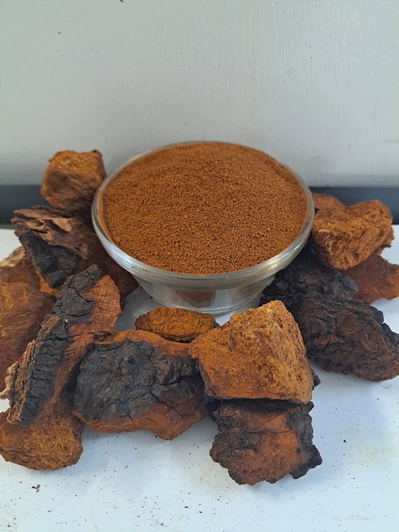 Fiddlehead Heaven Forest Products — additional photo