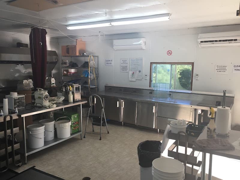 Fiddlehead Heaven Forest Products