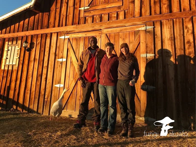 Fungi Akuafo Inc — additional photo