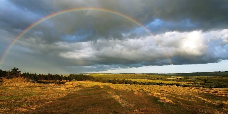 Fusion Holdings Ltd t/a Windy Heights Farm no longer trading as Sod Kings