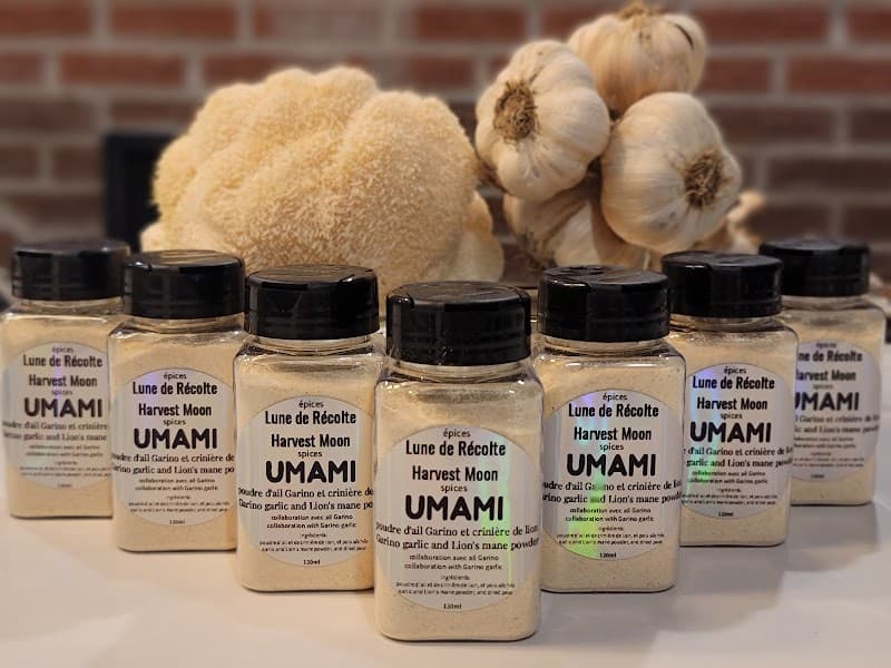 Harvest Moon (Lune de Récolte) — additional photo