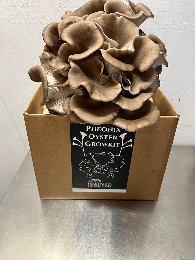 Heartwood Mushrooms Ltd
