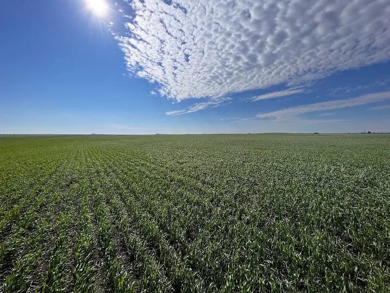 Kunz Farms Inc