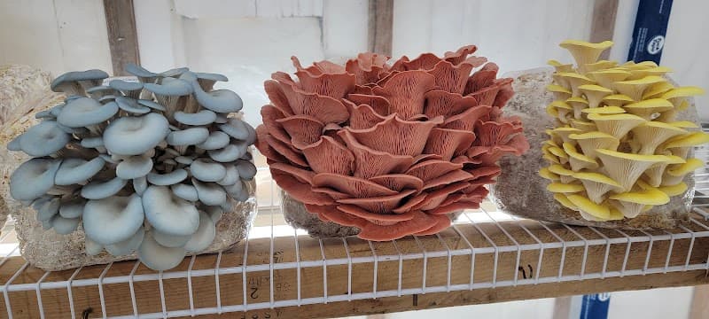 Lake Country Gourmet Mushroom Farm