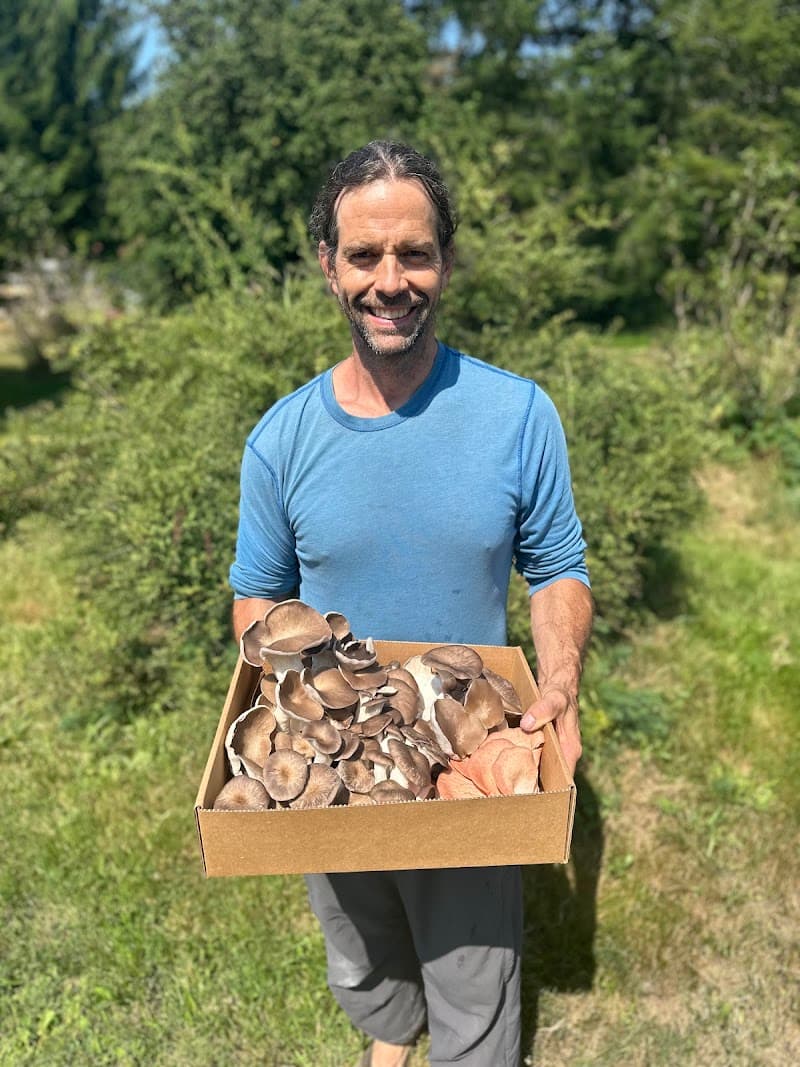 Legacy Mushrooms Inc — additional photo