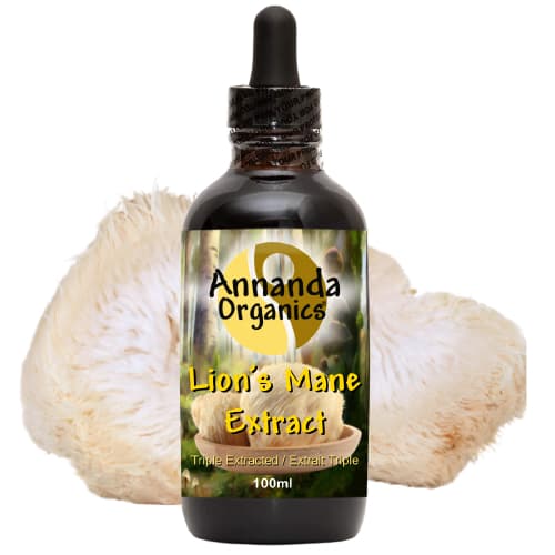 Lion's Mane Mushrooms — additional photo