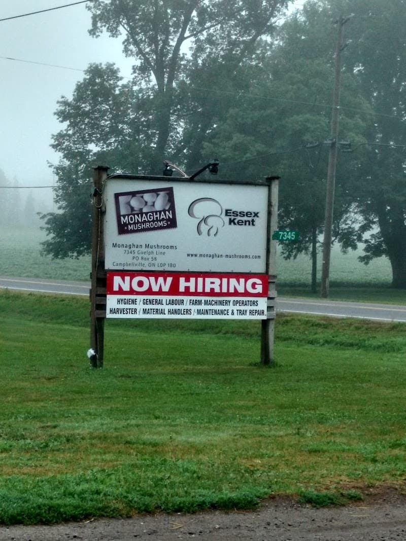 Monaghan Mushrooms Ltd — additional photo