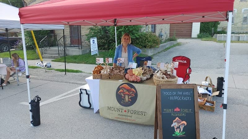 Mount Forest Mushrooms — additional photo