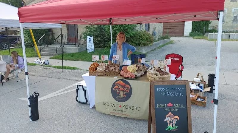 Mount Forest Mushrooms — additional photo