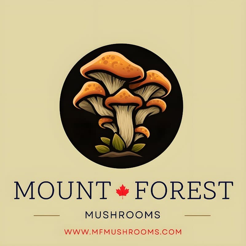 Mount Forest Mushrooms — additional photo