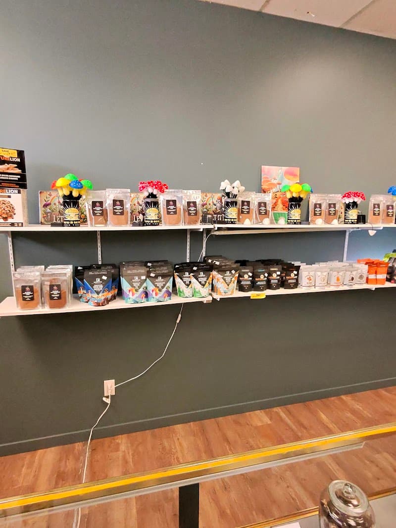 MY MUSHROOM — additional photo