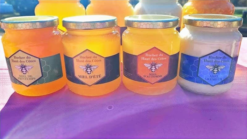 Nation champignon — additional photo