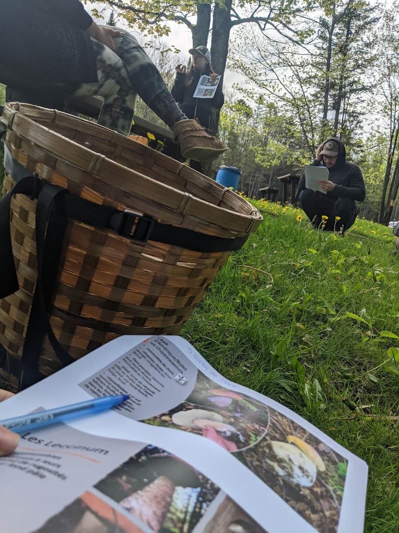 Nation champignon — additional photo