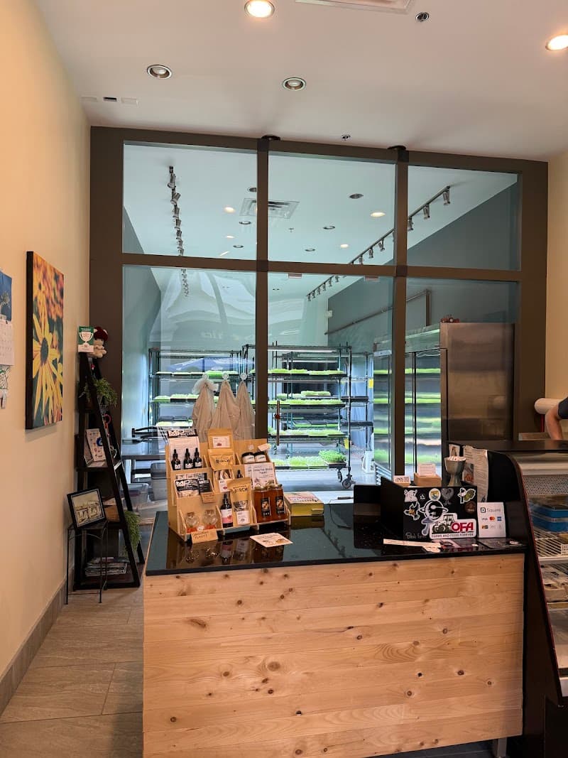 Noki Farms — additional photo