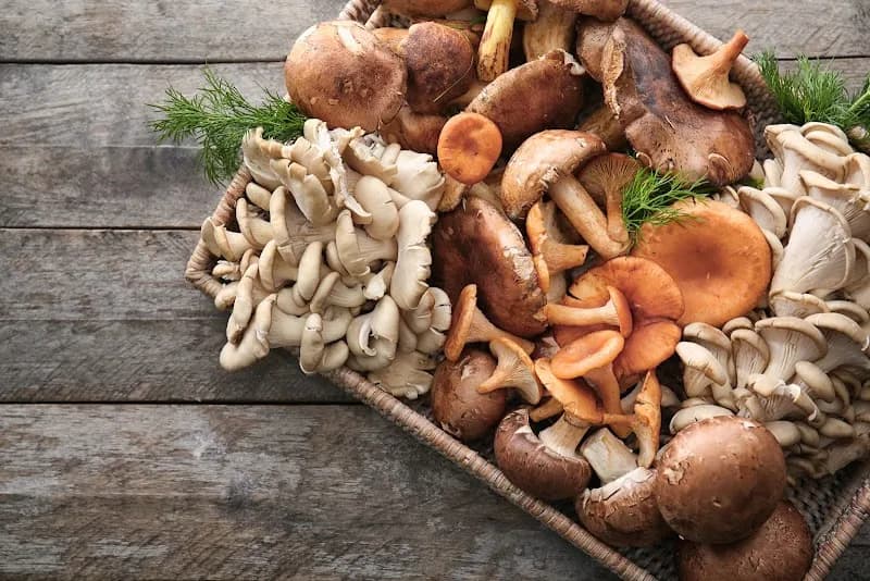 Northern Choice Mushrooms
