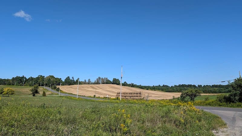 Ontario Mushroom Farm
