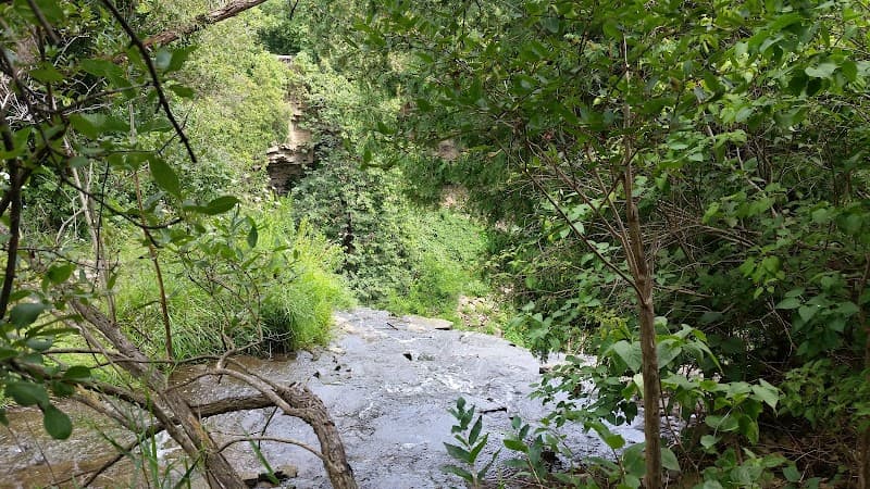 Piccioni Bros Mushroom Farm — additional photo