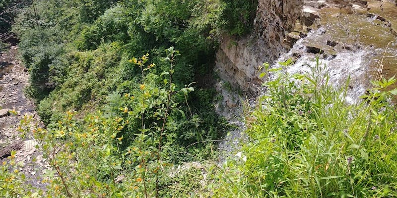 Piccioni Bros Mushroom Farm — additional photo