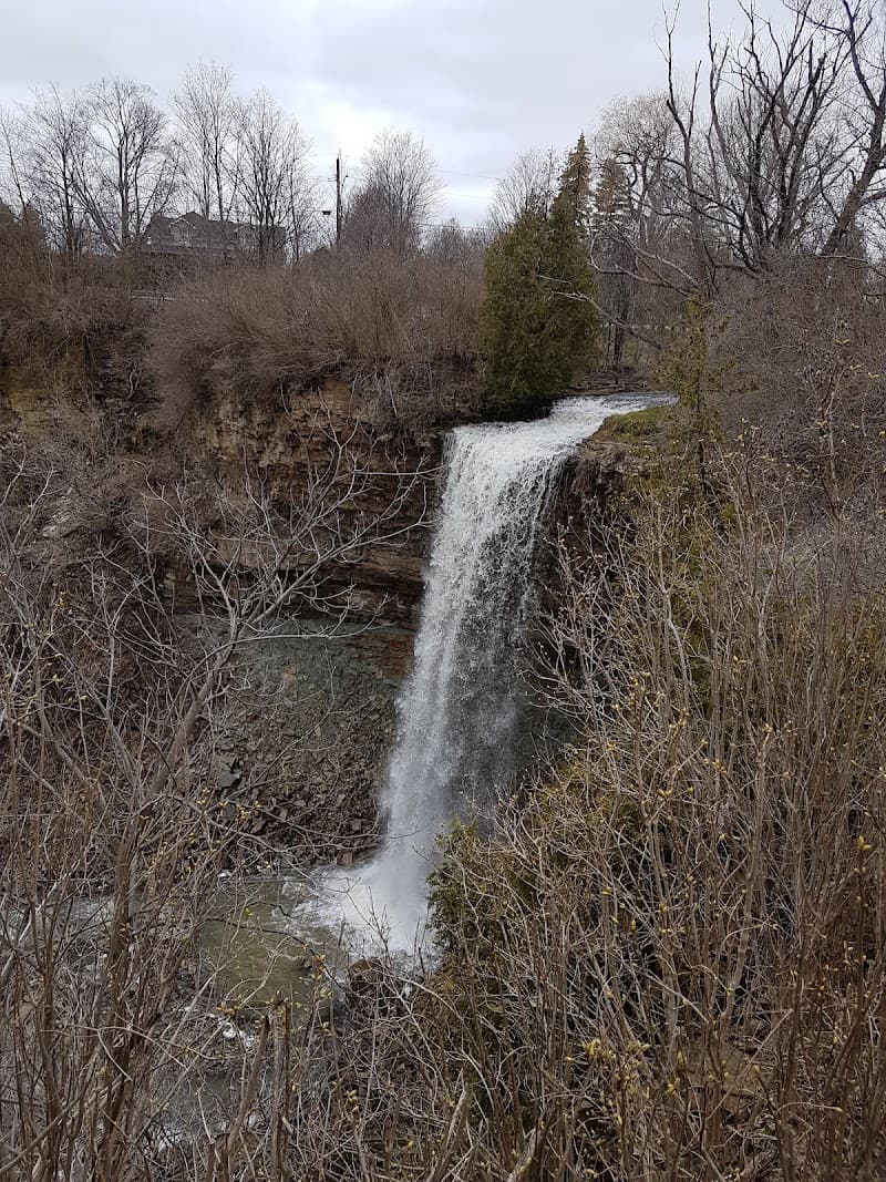 Piccioni Bros Mushroom Farm
