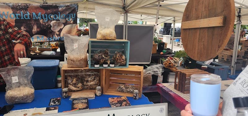 Small World Mycology — additional photo