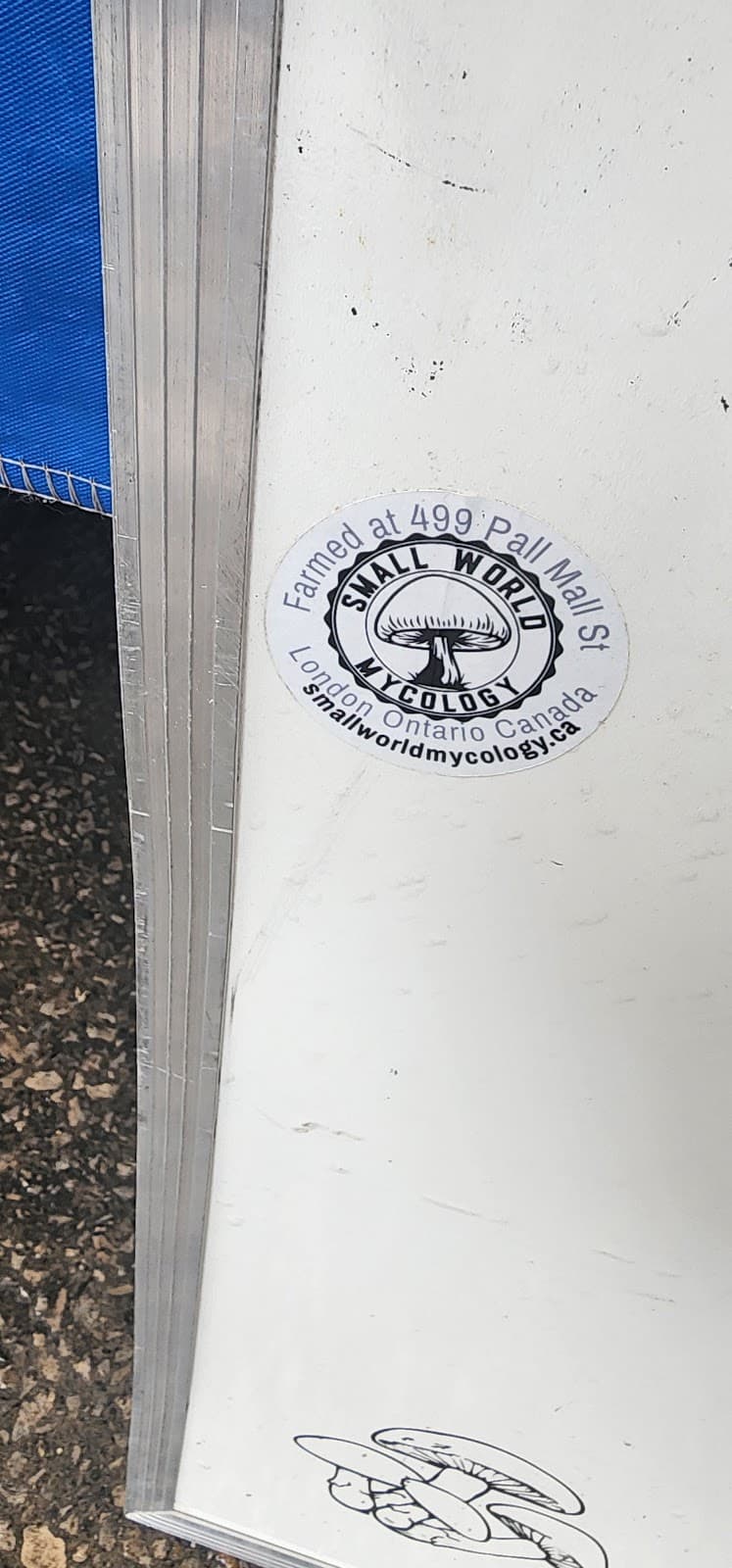 Small World Mycology