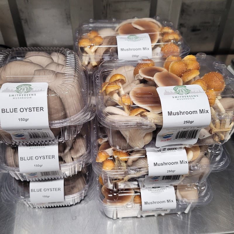 Smithereens Mushroom — additional photo