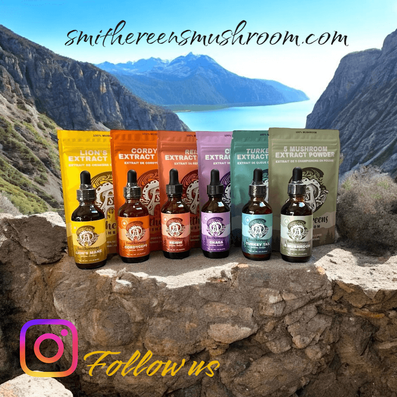 Smithereens Mushroom