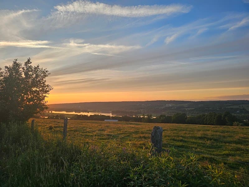 Springhill Farm — additional photo