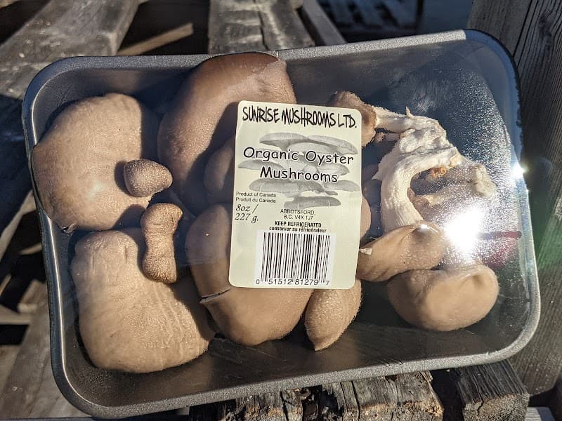 Sunrise Mushrooms Ltd — additional photo