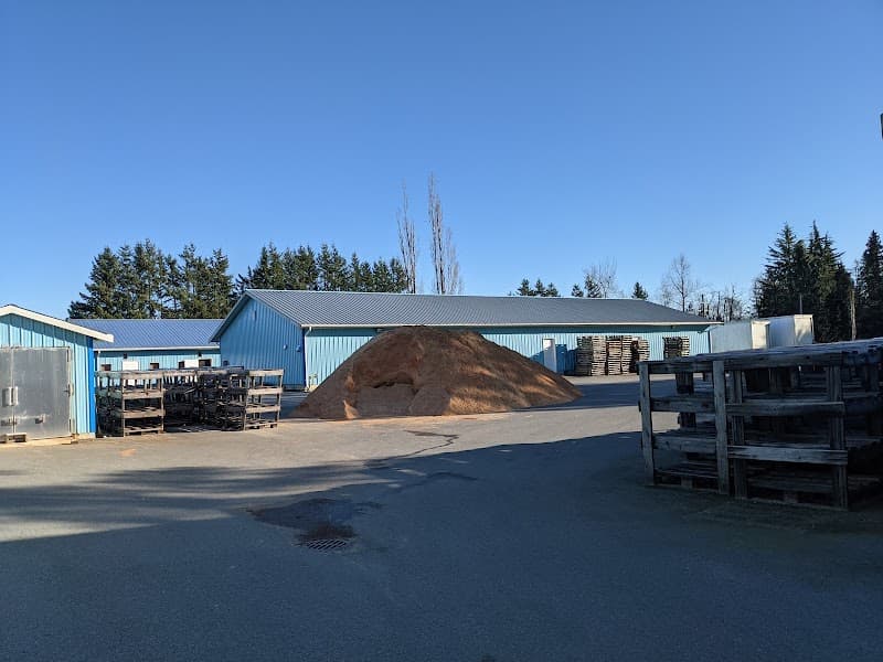 Sunrise Mushrooms Ltd