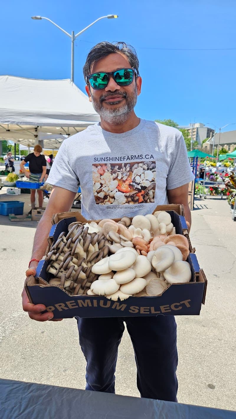 Sunshine Farms — additional photo