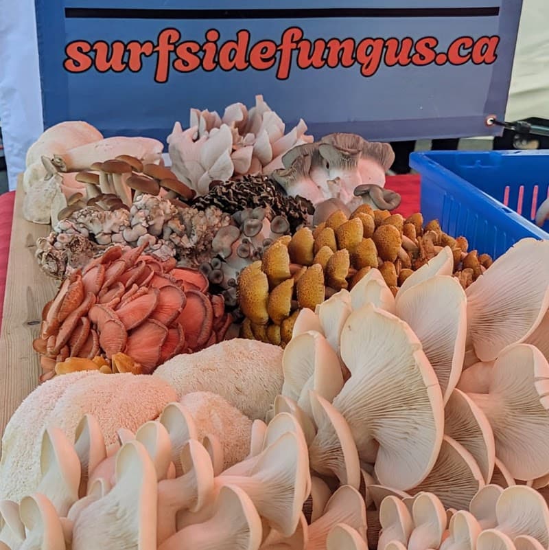 Surf Side Fungus Farm